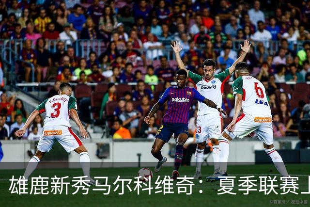 雄鹿新秀马尔科维奇：夏季联赛上的“起伏小子